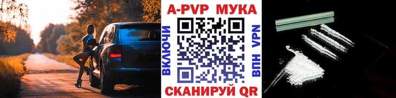 Альфа ПВП СК КРИС  Северодвинск 