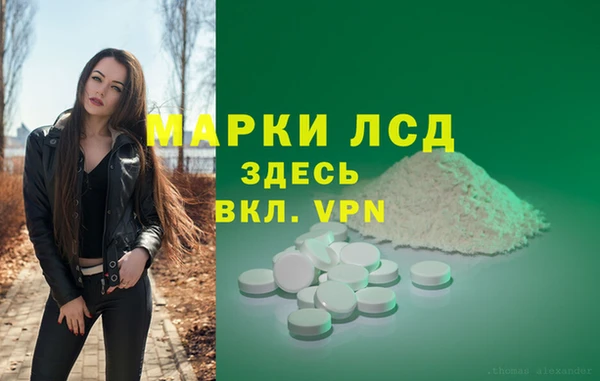 ПСИЛОЦИБИНОВЫЕ ГРИБЫ Абаза