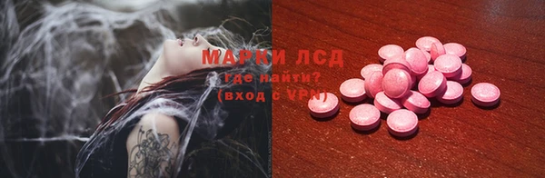 ПСИЛОЦИБИНОВЫЕ ГРИБЫ Абаза