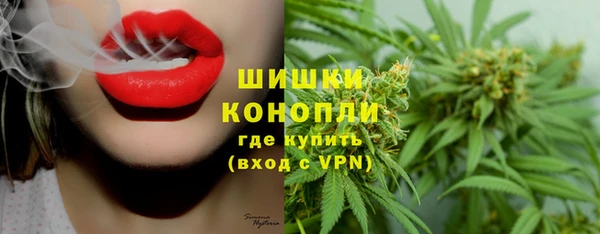 ПСИЛОЦИБИНОВЫЕ ГРИБЫ Абаза