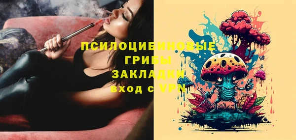 ПСИЛОЦИБИНОВЫЕ ГРИБЫ Абаза